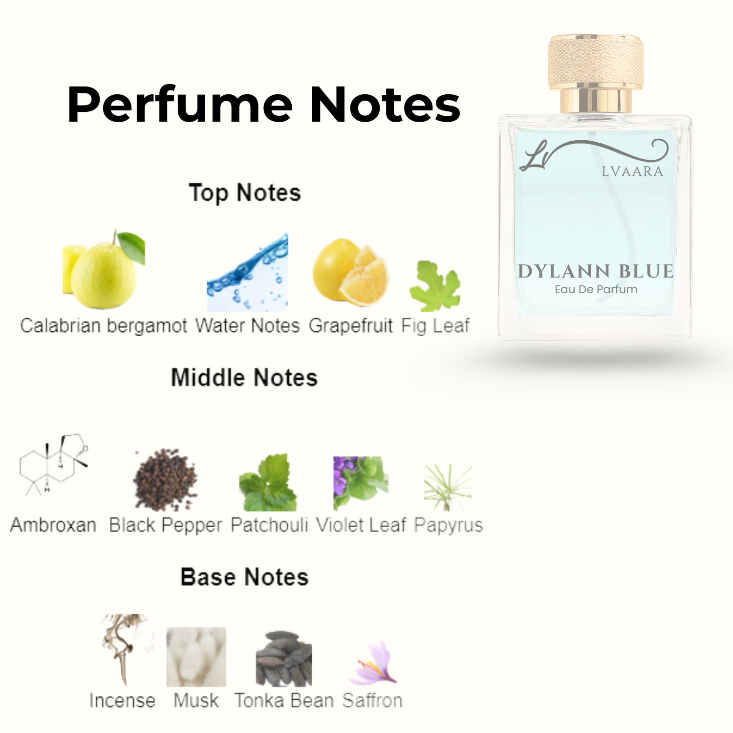 DLYANN BLUE | INSPIRED BY VERS*CE DYLA*N BLUE | EDP | UNISEX